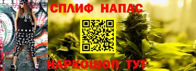 дурь Будённовск