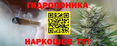 дурь Будённовск