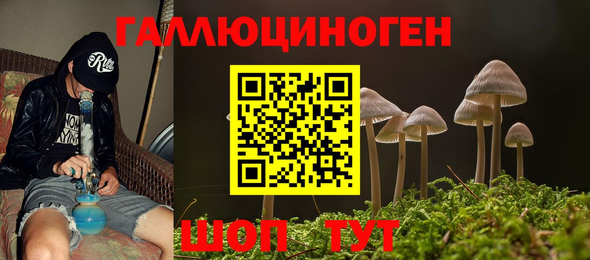 Новоалександровск  Галлюциногенные грибы Psilocybe  Вход с VPN  Псилоцибиновые грибы Psilocybine cubensis 
